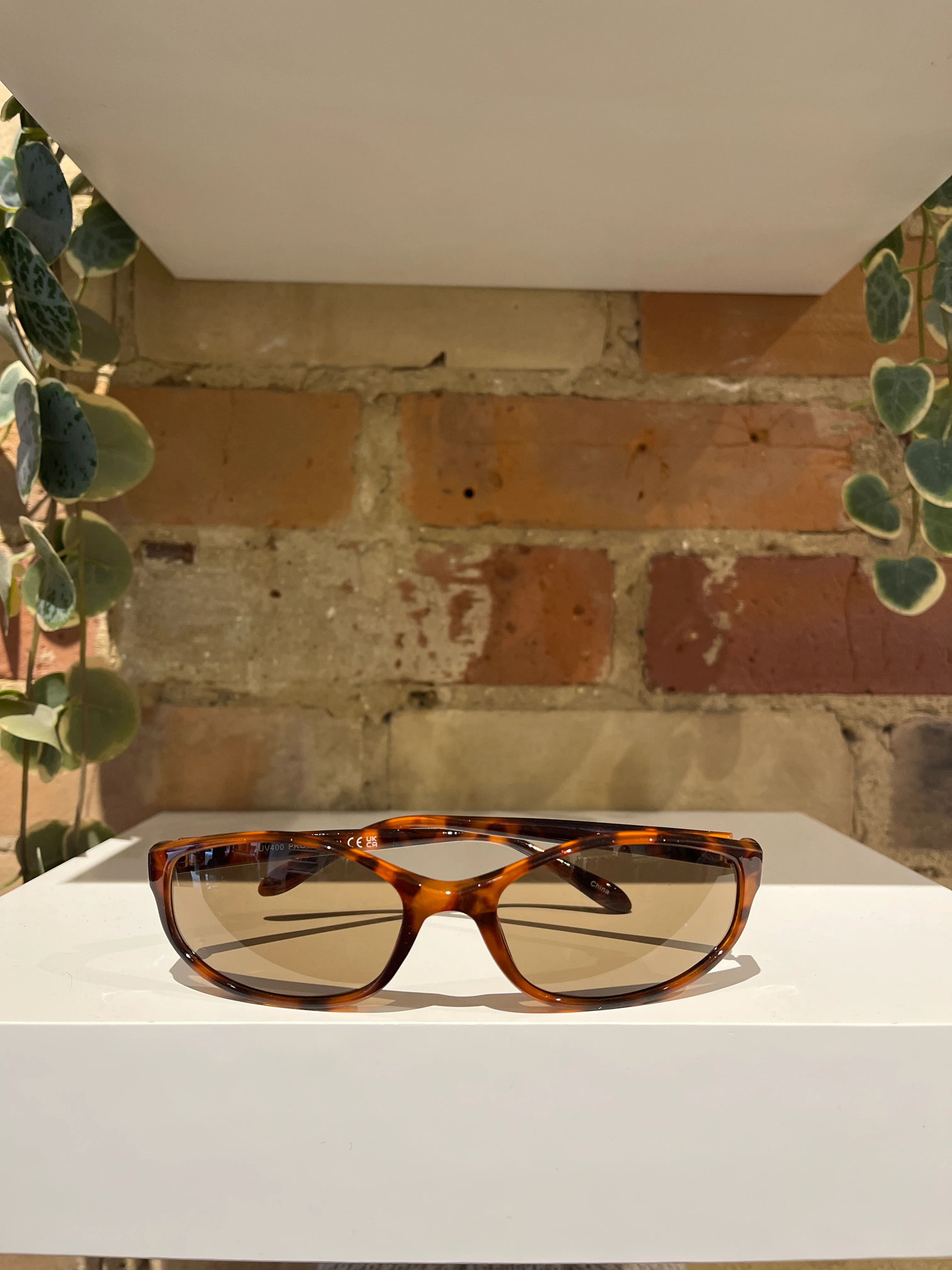 Nova 99 Sunglasses in Tortoise